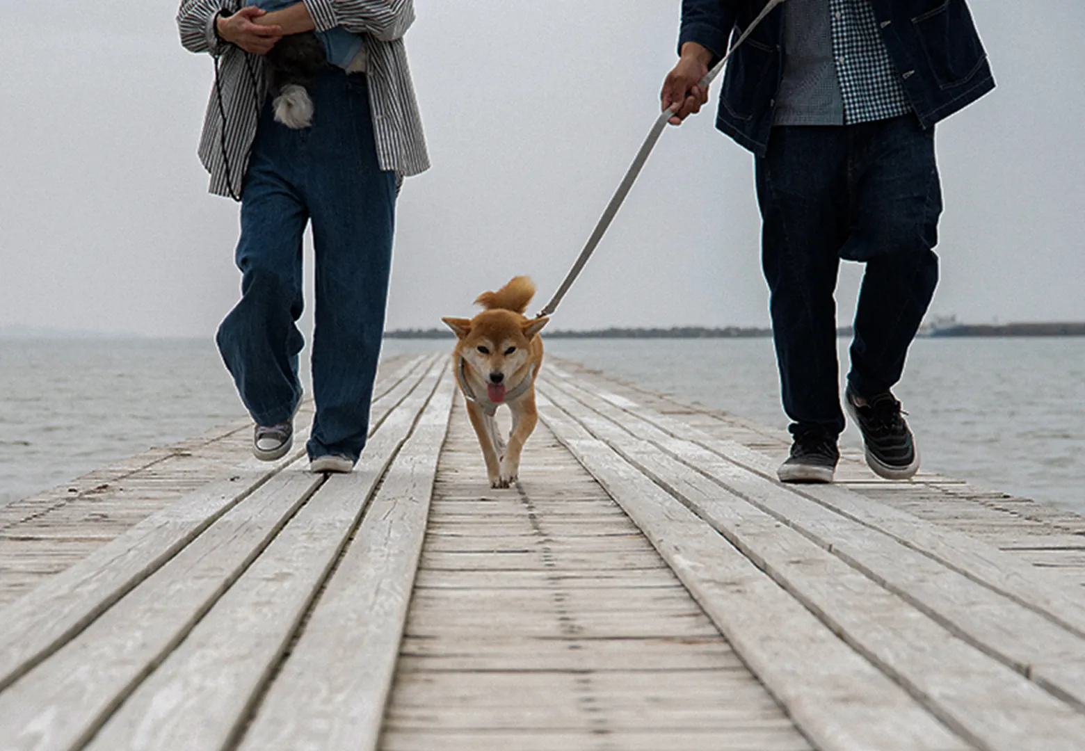 Dog Villa SAMPO