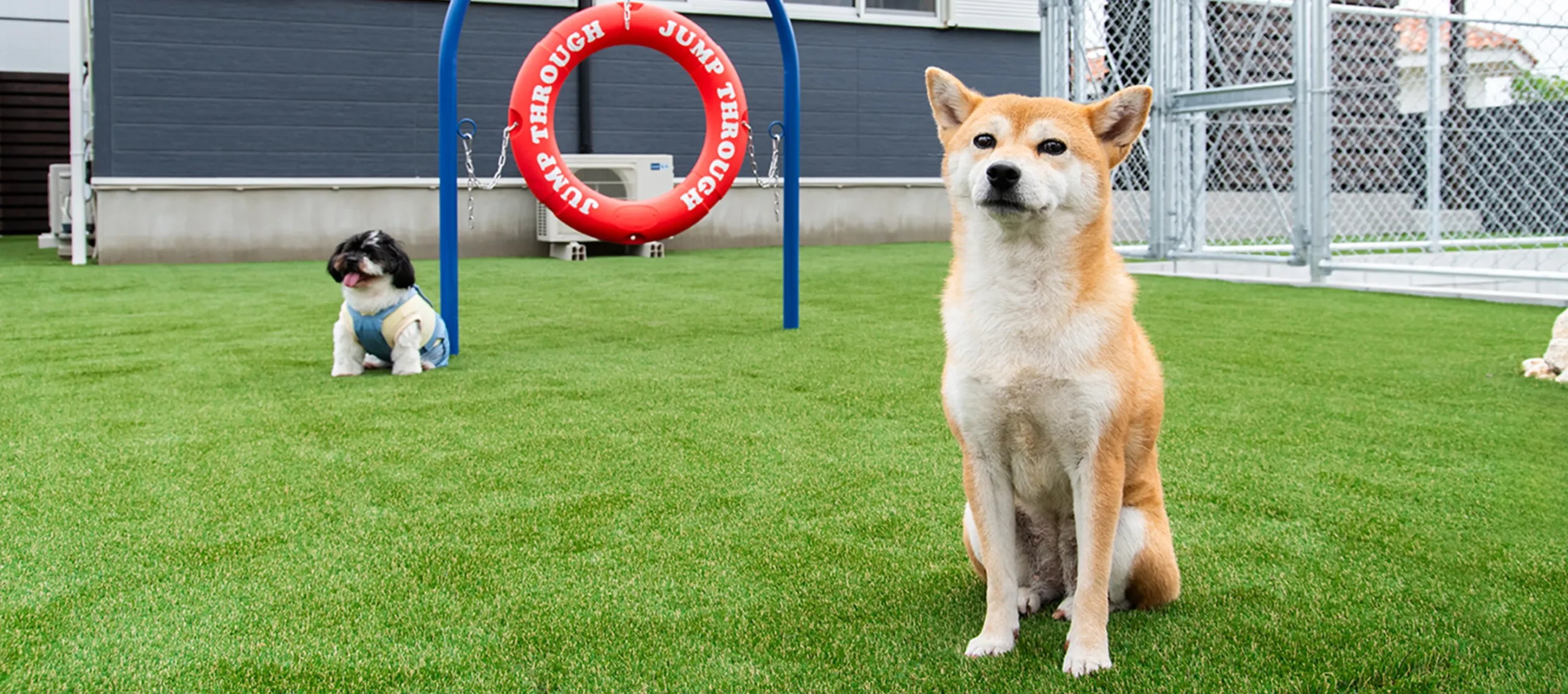 Dog Villa SAMPO